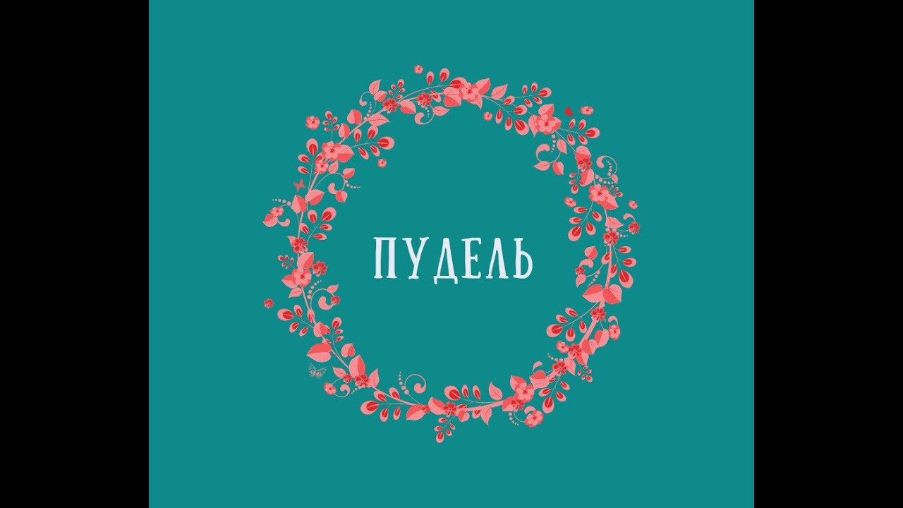 ⁣Видео стрижка пуделя Джери 11 2017