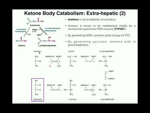 Video: Ce înseamnă acidul acetoacetic?