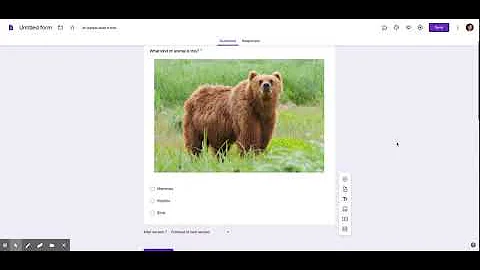 Differentiating Assessment within Google Forms
