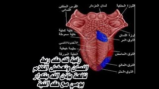 رقية فك عقد ربط اللسان وتعطيل الكلام نافعة بإذن الله بتكرار يومي مع عقد النية