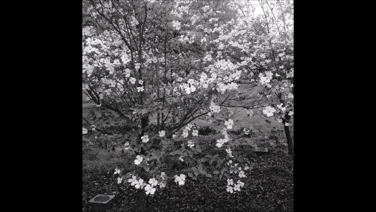 Cold Weather Gear (Cover) The Menzingers YouTube