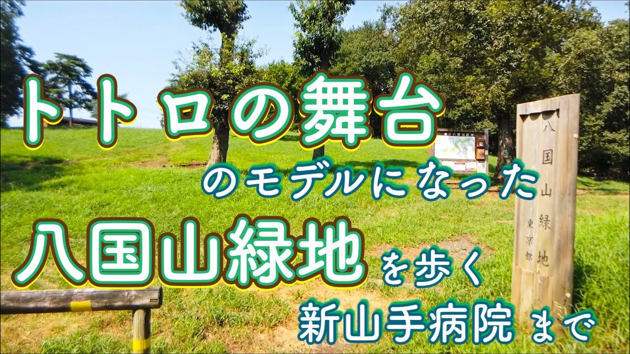 トトロの森を歩く トトロの舞台のモデルになった八国山緑地から新山手病院を巡る Walk In The Totoro Forest 8 15 Youtube トトロの森を歩く トトロの舞台のモデルになった八国山緑地から新山手病院を巡る Walk In The Totoro Forest 8 15 Youtube