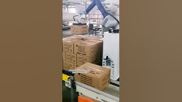 How does robot palletizer work? It