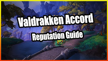 Valdrakken Accord Reputation Guide│Dragonflight