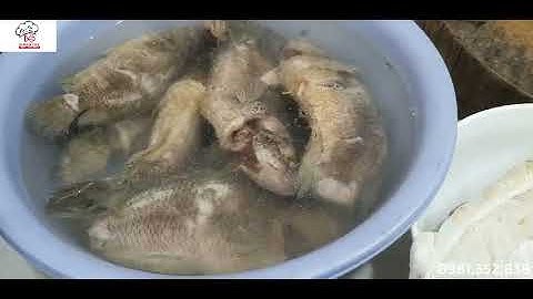 Cách nấu bánh đa cá rô thái bình 0981352838