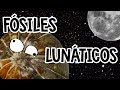 Fósiles lunáticos (Megacolaboración)
