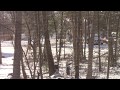 squirrel versus bird feeder - from above - two attempts