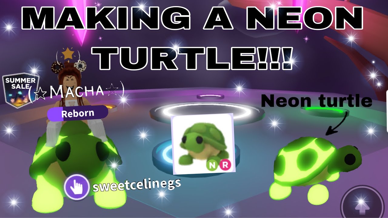 Making A Neon Turtle Roblox Adopt Me Youtube - neon bird egg roblox