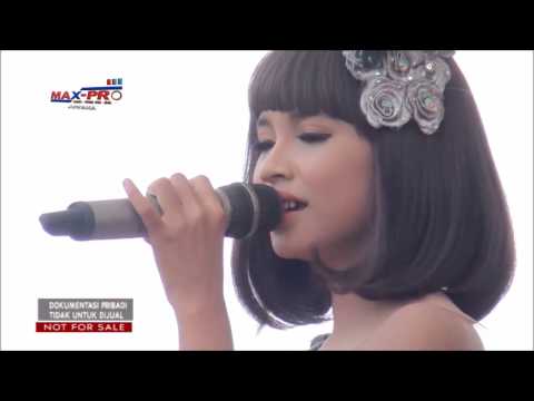 LAGU TERBARU TASYA, Bukan Cerita Dusta, Titip Cinta, Ungkapan Hati
