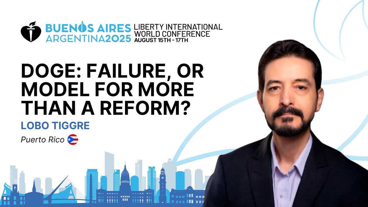"DOGE: Failure, or Model for More than a Reform?", by Lobo Tiggre