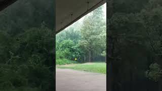 비바람 폭풍우 rainstorm