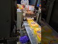 4 Tiki &amp; 2 Tiki Packing Machine | Irfan Brothers Engineering Faisalabad | Laundry soap