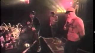 Beastie Boys-Rhymin' & Stealin'- Licensed To Ill Tour video