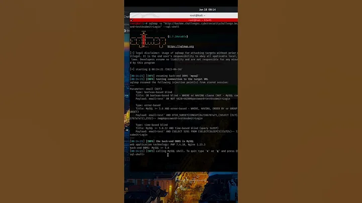 Database Breached: The Power of SQL Injection