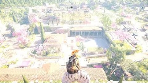 Temple of Apollo Assassin