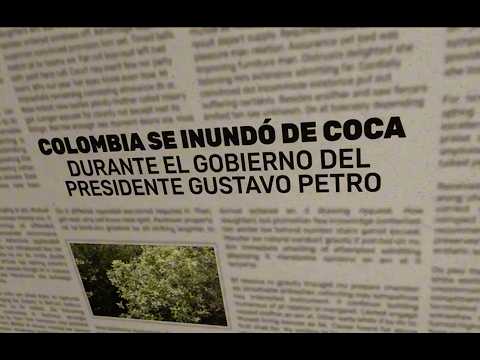 ¿Colombia se inundó de coca durante el gobierno Petro? ¡Mito! En menos de 3 minutos te lo explicamos