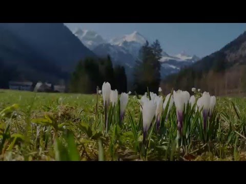 Frühlingserwachen in Oberstdorf