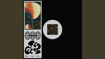 Vertical Society (DJ Python Remix)