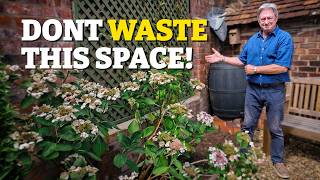 How I Turned A Dull Corner Into a Beautiful Garden Retreat!