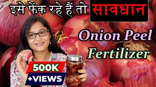 🔴ONION PEEL FERTILIZER BENEFITS USES PRECAUTIONS/प्याज के छिलके की खाद #onionpeelfertilizer #plants