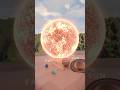 From Sun to Stephenson 2-18: Star Size Scale