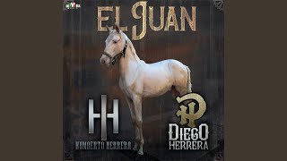 Video thumbnail of "Diego Herrera - El Juan"