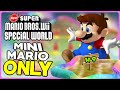 Is it possible to beat World 9 in New Super Mario Bros. Wii as Mini-Mario?