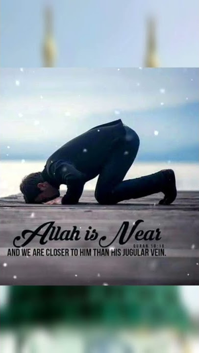 Surah Qaf Ayat 16 (50:16 Quran) #feeling #lonely, #allahﷻ is #closer to you than your #jugular #vein