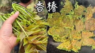 一口吃掉80块教你打开香椿的正确吃法做来堪比五星级大餐