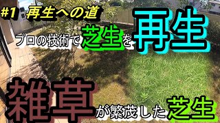 【プロの芝生再生術】芝生管理の考え方も教えます。