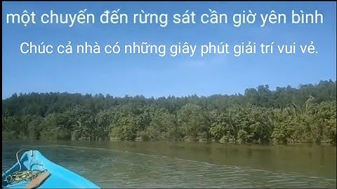 Thả lưới cá út, trong rừng sát cần giờ(công cần giuộc.)