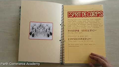 Project Class Principles of Management class 12th CBSE Business Studies