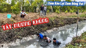 Dọn Sạch Mương Hơn Trăm Thước – Bơm Nước Bắt Cá Cùng KuTe | Thu Hoạch Bất Ngờ