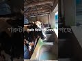 গরুটা বিক্রি হয়েছে এক লক্ষ ৭৭ হাজার ৫০০ টাকা #cow #lifeisbutadream #animals #dairyfarming
