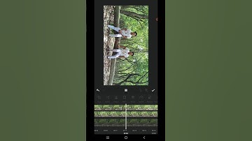 Double Roll Video in InShot App | Easy Shorts Editing Tutorial 📱🎬