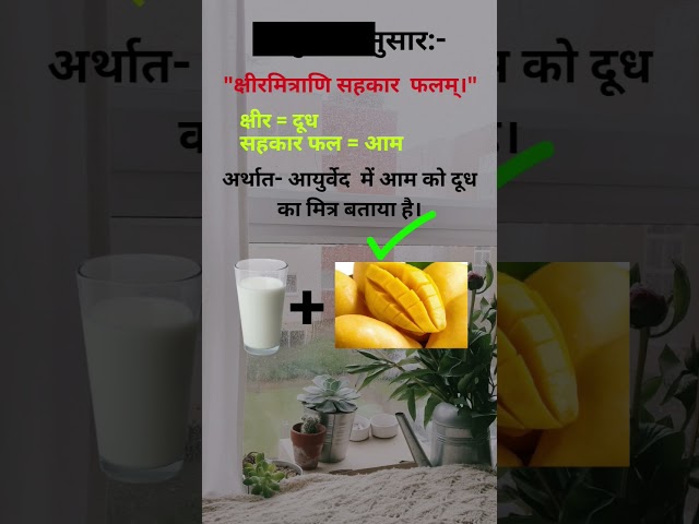 Is it Good to eat Mango with Milk#medico#doctorsadvice#trending #new #hindi #knowledgeispower class=