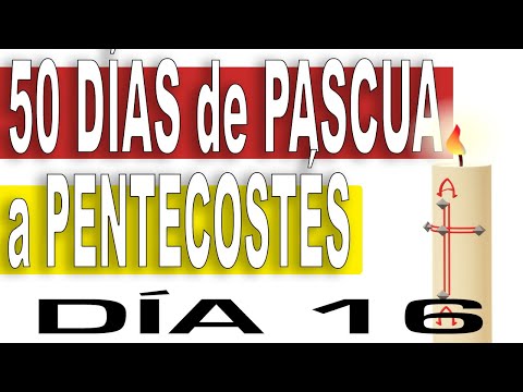 ✴️ Día 16 | 50 Días de CAMINO de PASCUA A PENTECOSTÉS 📌 El DESEO de DIOS es que creamos en ÉL