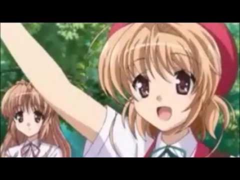 Fortune Arterial AMV Natalie