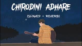 CHIRODINI ADHARE(SLOWED   REVERB) ||@AbirBiswas || MSL LOFI BOY