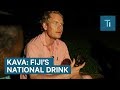 What its like to try kava  the national drink of fiji