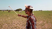 Icorona Izophela Youtube Icorona Izophela Youtube