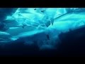 Rolex DEEP SEA Under The Pole (teaser)