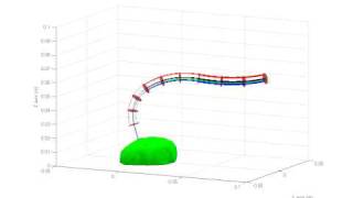 3-segment Continuum Robot Palpates a Prostate Model