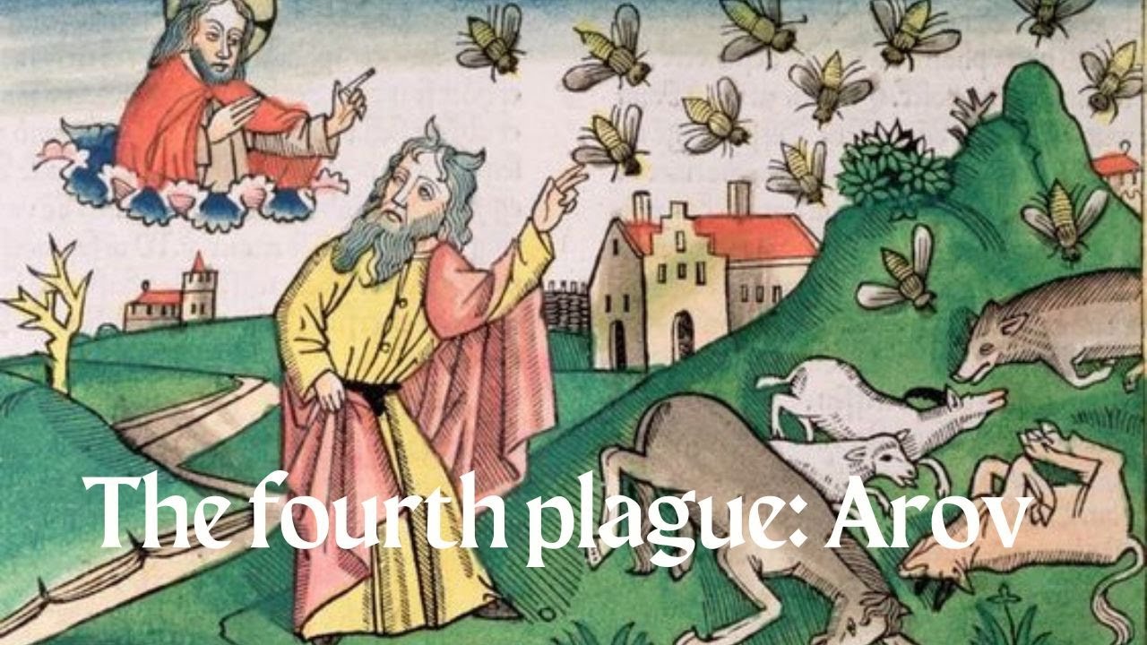 The Frog Biblical Hebrew Beyond Time & Space YouTube