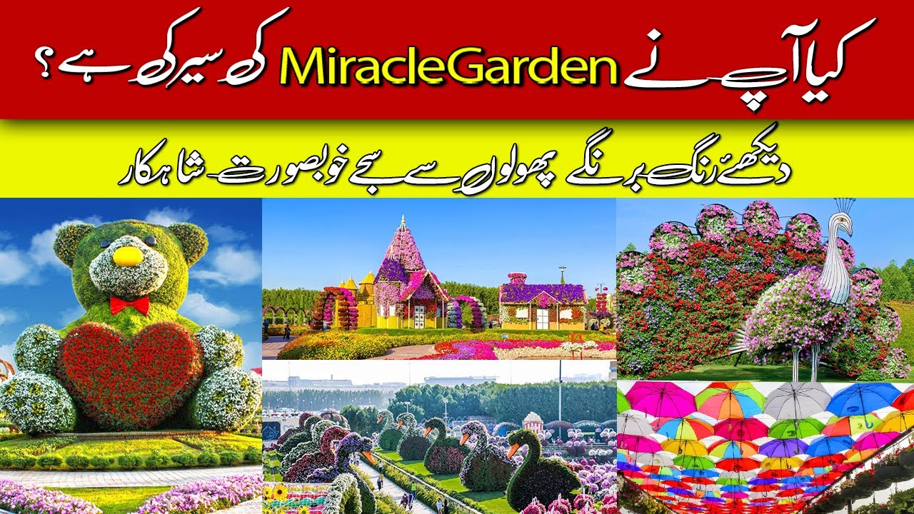 Beautiful Miracle Garden Open For Public World Largest Flower Garden