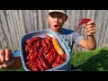 GIANT Crawfish CATCH CLEAN COOK! (Solo Crawfish Trapping)