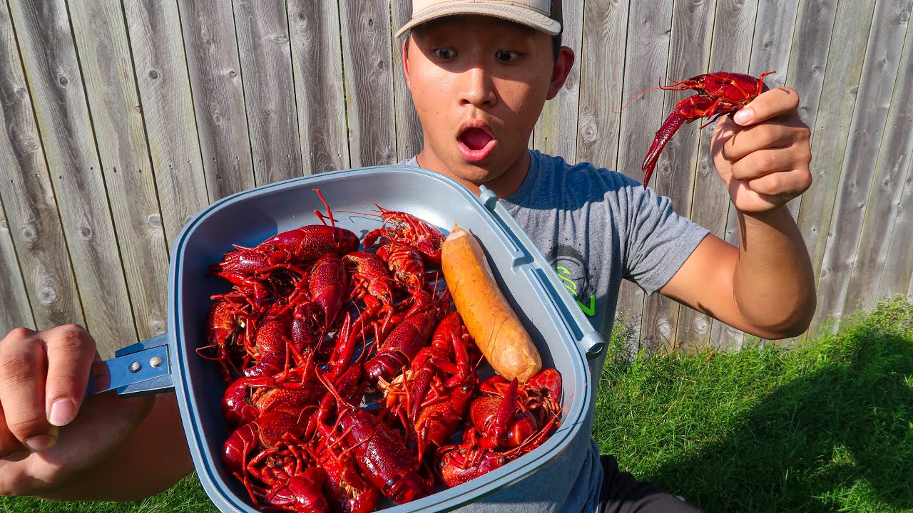 GIANT Crawfish CATCH CLEAN COOK! (Solo Crawfish Trapping) - YouTube