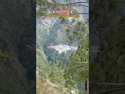 माँ शेरों वाली माँ महिरों वाली आजा 🙏🏻 #shortvideo #ytshorts #shortsfeed #bestyoutuber #share #yt