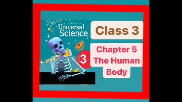 The Human body |Science class 3 chapter 5| Universal Science | #India#learnwithlili#science#evs#body