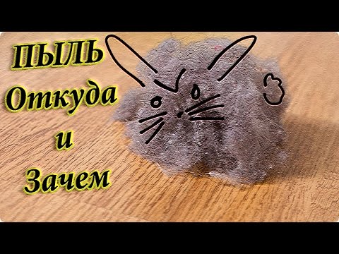 Откуда берется пыль и как от неё избавиться